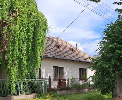 Prodej Rodinný dům, Rodinný dům, Levice, Slovensko