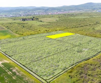 Prodej Pozemky - bydlení, Pozemky - bydlení, Dolná, Pezinok, Slovensko