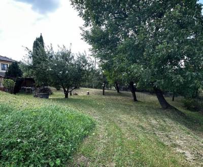 Prodej Zahrady, Zahrady, Prešov, Slovensko