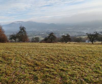 Prodej Pozemky - rekreace, Pozemky - rekreace, Nová Baňa, Žarnovica, S