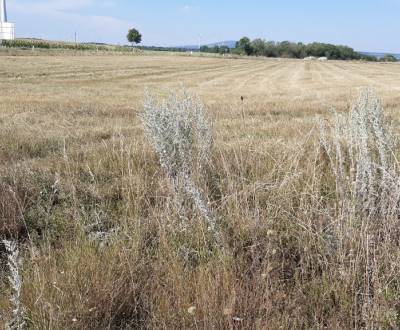 Pronájem Pozemky - komerční, Pozemky - komerční, Twin City Business Pa