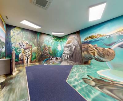 Pronájem Prostory pro obchod, Prostory pro obchod, Námestie SNP, Brati