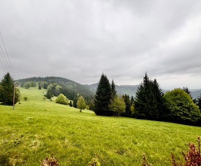 Prodej Pozemky - rekreace, Pozemky - rekreace, Gregušovci, Čadca, Slov