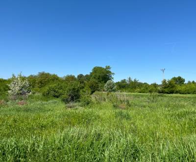 Prodej Pozemky - bydlení, Pozemky - bydlení, Piešťany, Slovensko
