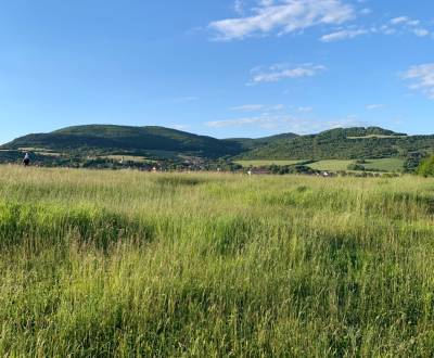 Prodej Pozemky - rekreace, Pozemky - rekreace, Lesná, Zlaté Moravce, S