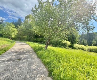 Prodej Pozemky - bydlení, Pozemky - bydlení, Korchaň, Čadca, Slovensko