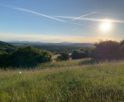 Prodej Pozemky - rekreace, Pozemky - rekreace, Zlaté Moravce, Slovensk