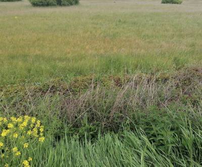 Prodej Pozemky - komerční, Pozemky - komerční, Sučany, Martin, Slovens