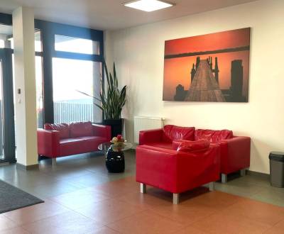 Pronájem Kancelářské prostory, Kancelářské prostory, Pestovateľská, Br