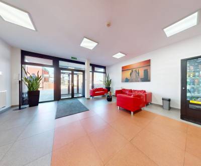 Pronájem Kancelářské prostory, Kancelářské prostory, Pestovateľská, Br