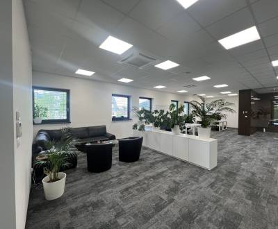 Pronájem Kancelářské prostory, Kancelářské prostory, J. Jančeka, Ružom