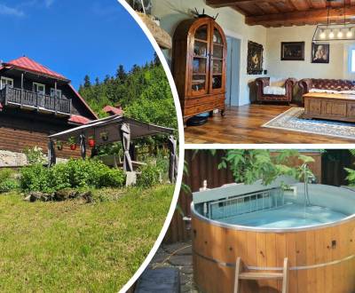 Prodej Hotely a penziony, Hotely a penziony, Donovaly, Banská Bystrica