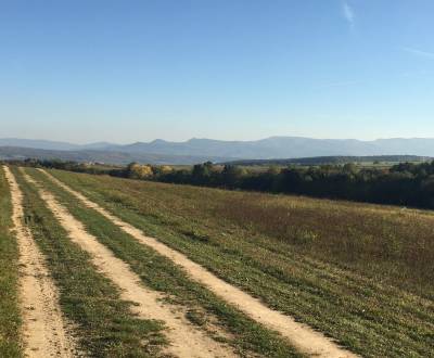 Prodej Zemědělské a lesní, Zemědělské a lesní, Prievidza, Slovensko