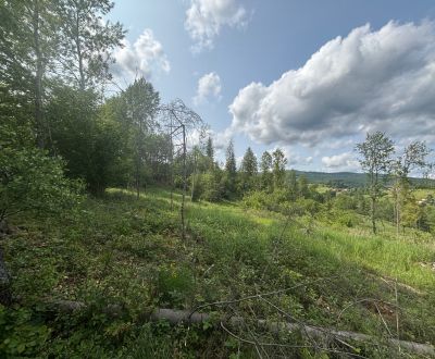 Prodej Pozemky - rekreace, Pozemky - rekreace, Raková, Čadca, Slovensk
