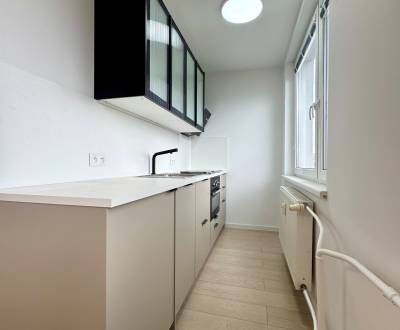 Pronájem Byt 1+1, Byt 1+1, Humenská, Košice - Západ, Slovensko