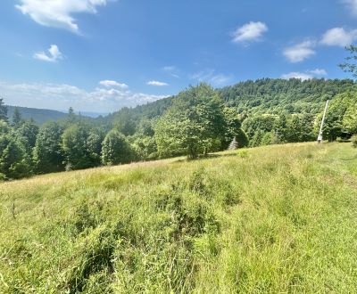 Prodej Pozemky - bydlení, Pozemky - bydlení, Dedovka, Čadca, Slovensko