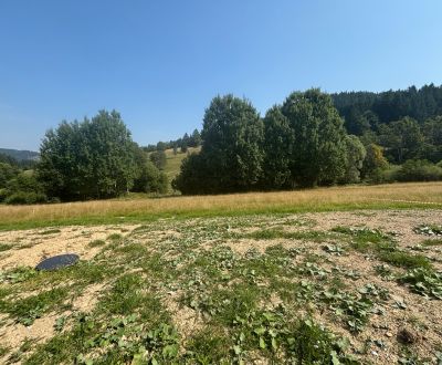 Prodej Pozemky - bydlení, Pozemky - bydlení, Čierne, Čadca, Slovensko