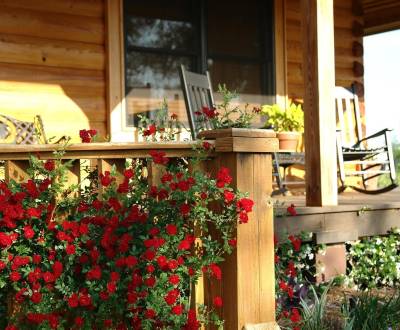 Hledáme Rodinný dům, Rodinný dům, Topoľčany, Slovensko