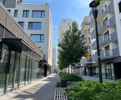 NIVY/JARABINKY - obchodní prostor na pěší zóně k pronájmu