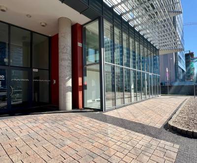 BA/NIVY - Multifunkční obchodní prostory na frekventované adrese