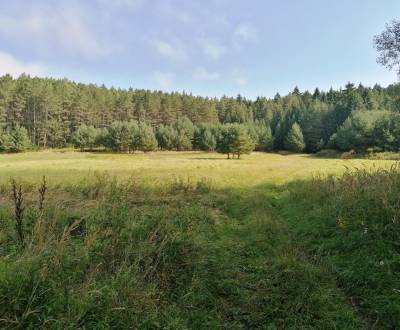 Prodej Pozemky - bydlení, Pozemky - bydlení, Martin, Slovensko