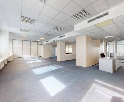 Pronájem Kancelářské prostory, Kancelářské prostory, Miletičova, Brati