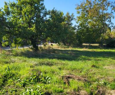 Prodej Rodinný dům, Rodinný dům, Bruck an der Leitha, Rakousko