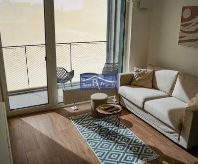 Pronájem Byt 1+1, Byt 1+1, Rožňavská, Bratislava - Nové Mesto, Slovens