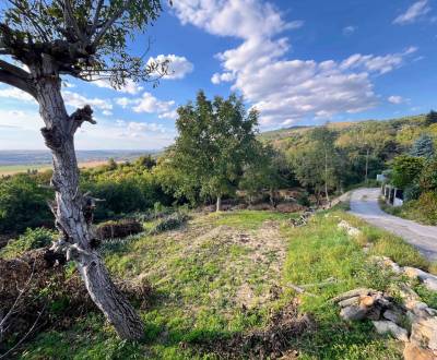 Prodej Pozemky - bydlení, Pozemky - bydlení, Fialková, Nitra, Slovensk