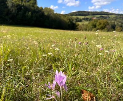 Prodej Zemědělské a lesní, Zemědělské a lesní, Banská Bystrica, Sloven