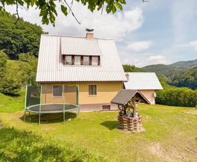 Prodej Rodinný dům, Rodinný dům, Sidonie, Rybníček, Česká republika