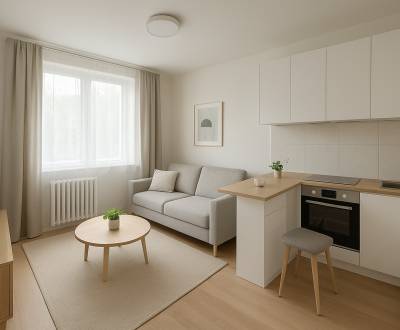 Prodej Garsoniéra, Garsoniéra, Žilina, Slovensko