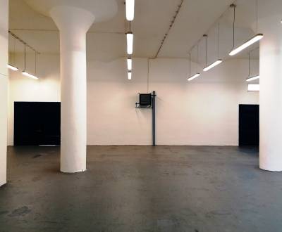 Pronájem Haly a sklady, Haly a sklady, Priekopa, Martin, Slovensko