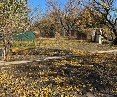 Prodej Pozemky - bydlení, Pozemky - bydlení, Stredná, Bratislava - Ruž