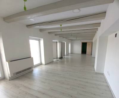 Pronájem Kancelářské prostory, Kancelářské prostory, Levická, Nitra, S