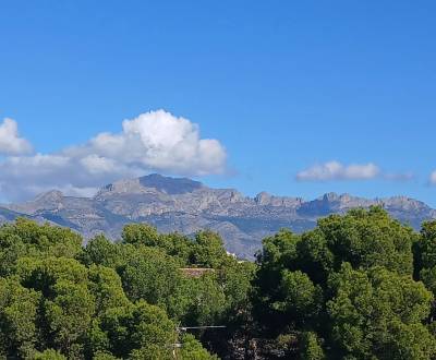 Prodej Rodinný dům, Rodinný dům, Alicante / Alacant, Španělsko