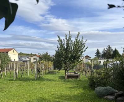 Prodej Rodinný dům, Rodinný dům, Puškinova, Pezinok, Slovensko