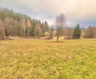 Prodej Pozemky - bydlení, Pozemky - bydlení, Megoňky, Čadca, Slovensko