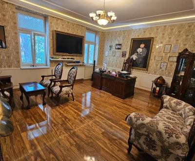 Pronájem Kancelářské prostory, Kancelářské prostory, Sad SNP, Žilina, 