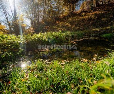 Prodej Zahrady, Zahrady, Nový Svet, Banská Bystrica, Slovensko