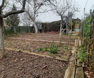 Prodej Zahrady, Zahrady, Zvolen, Slovensko