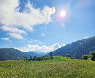 Prodej Zemědělské a lesní, Zemědělské a lesní, Žilina, Slovensko