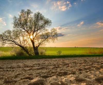 Prodej Zemědělské a lesní, Zemědělské a lesní, Banská Bystrica, Sloven
