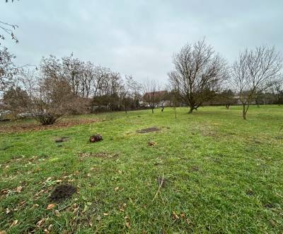 Prodej Pozemky - bydlení, Pozemky - bydlení, Kava hlavná, Komárno, Slo