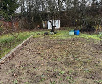 Prodej Zahrady, Zahrady, Podhradie, Levice, Slovensko