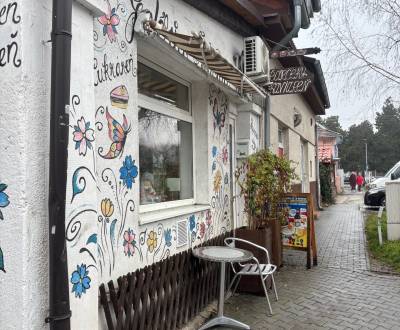 Pronájem Prostory pro obchod, Prostory pro obchod, Moyzesova, Senec, S