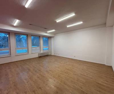 Pronájem Kancelářské prostory, Kancelářské prostory, Dostojevského, Po