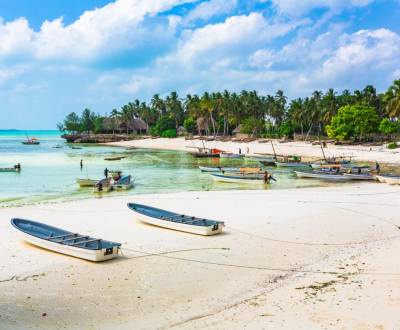 Pozemek  9000 m2 iba 100 m od pláže v Kizimkazi