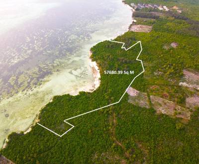 57 000 m² nezkrotného luxusu: Pozemek pro výstavbu na pláži Zanzibaru