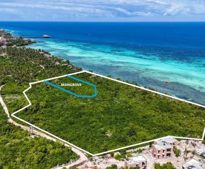 3,2hektarový pozemek na útesu, Kizimkazi, Zanzibar